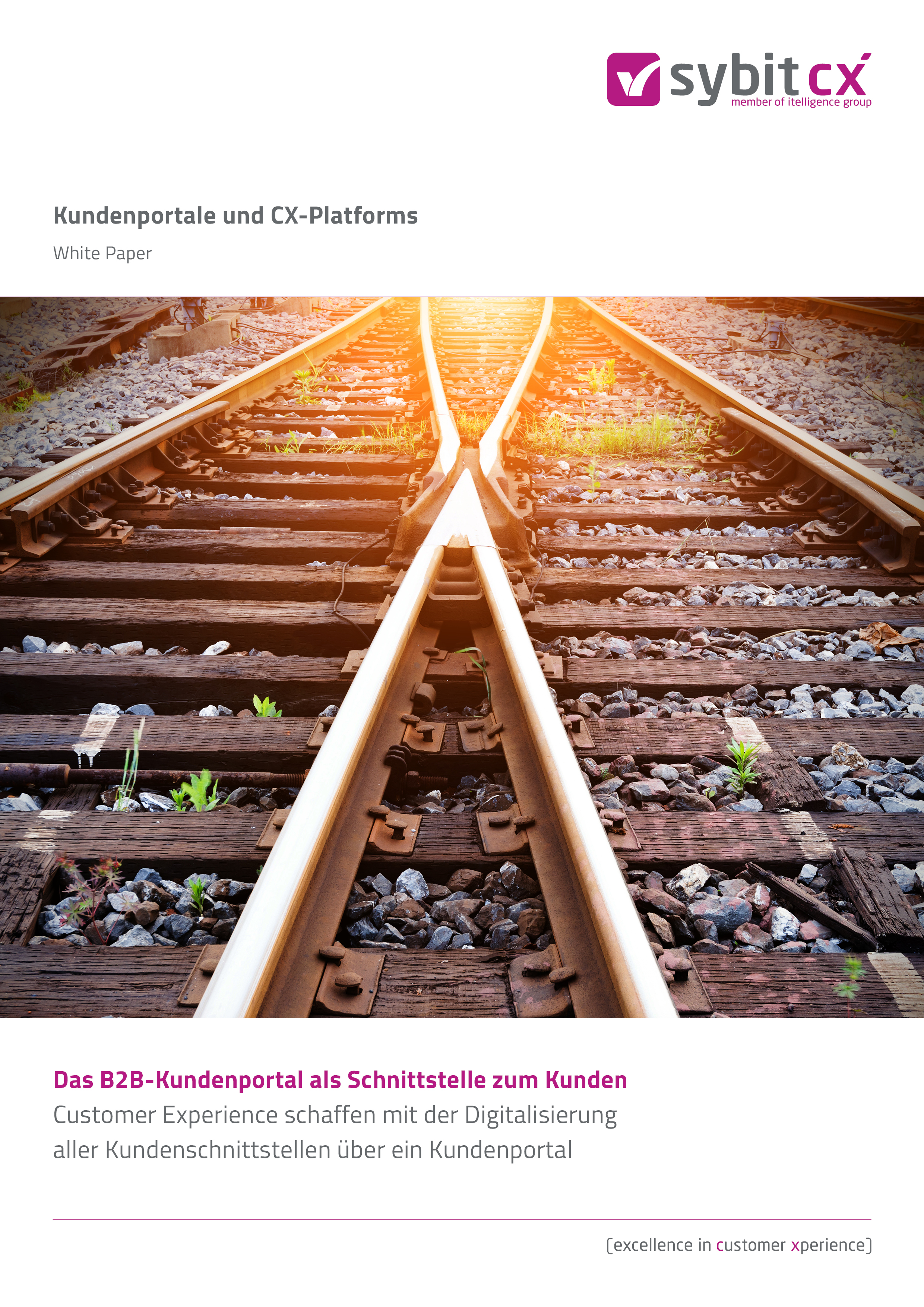 Kundenportale und CX-Platforms