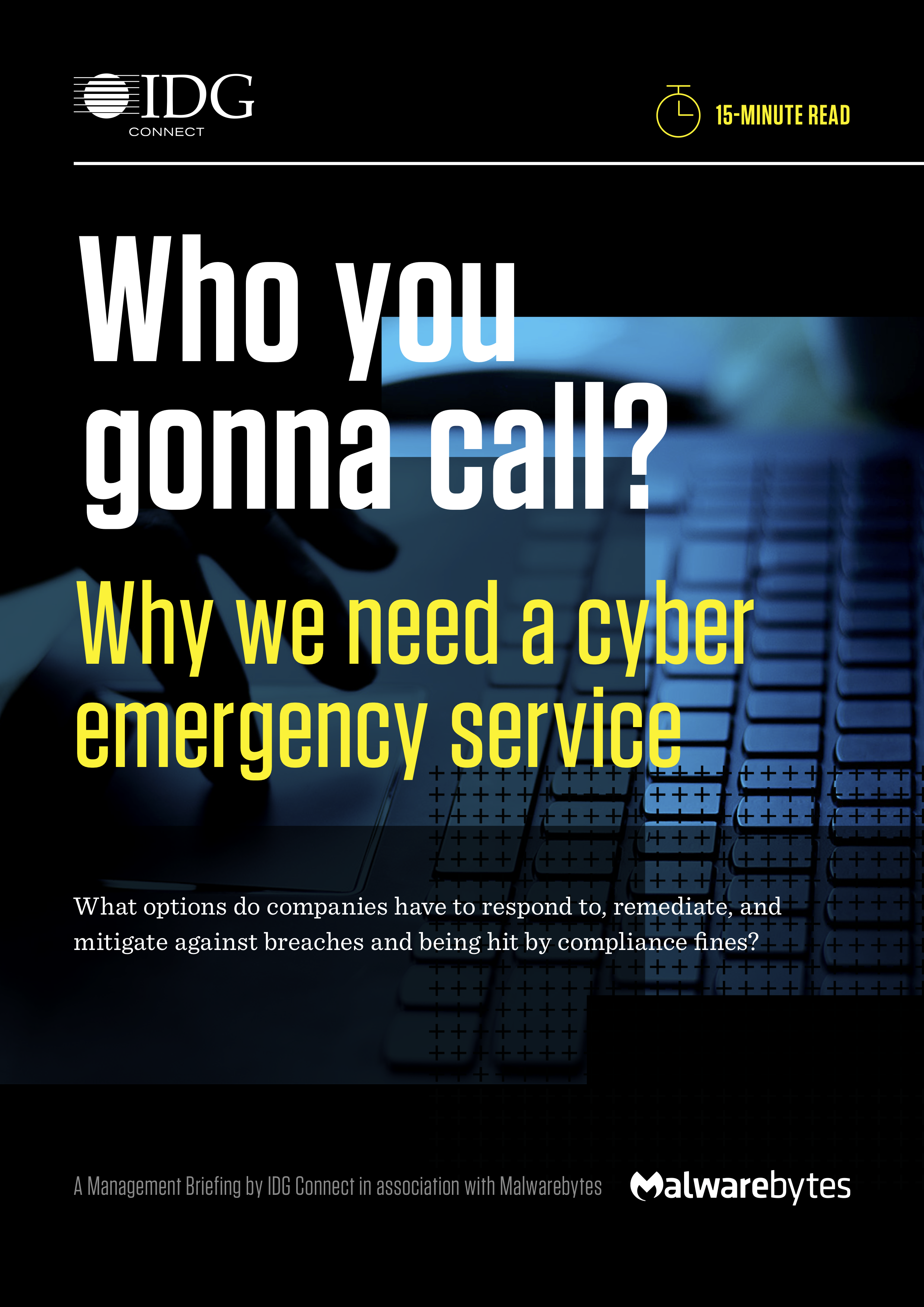 Who you gonna call? Why we need a cyber emergency service