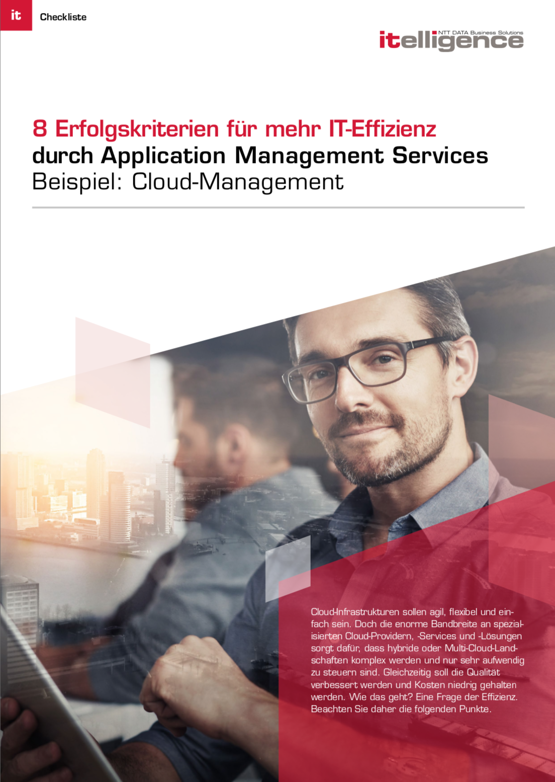 8 Erfolgskriterien für mehr IT-Effizienz durch Application Management Services