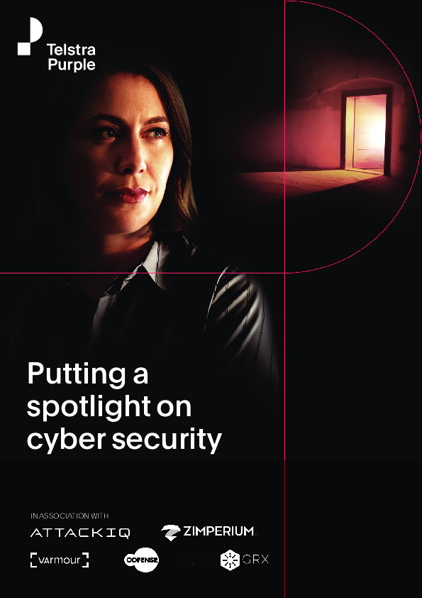 Putting a spotlight on cyber security