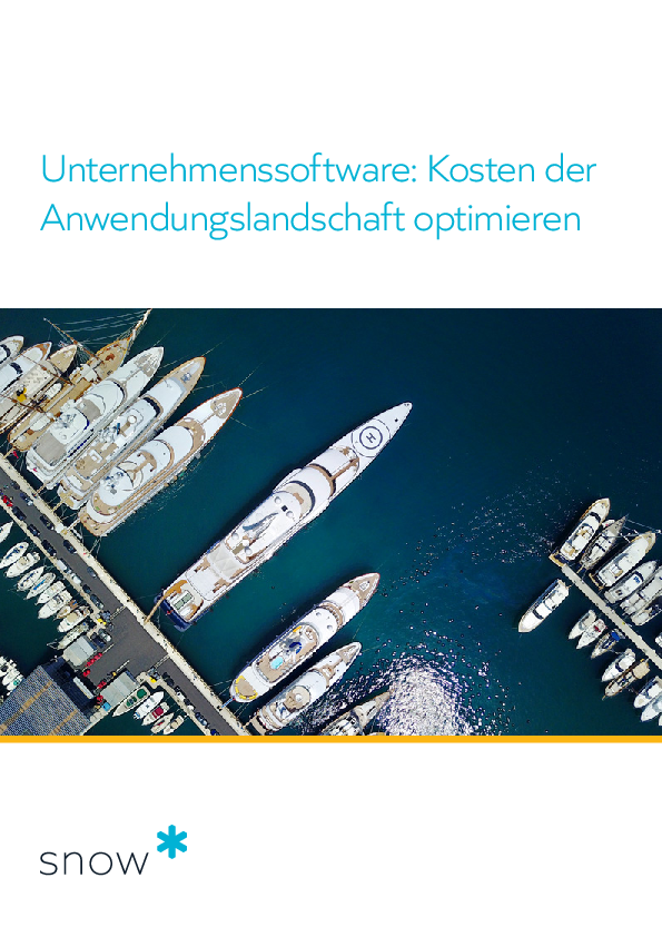 Unternehmenssoftware: Kosten der Anwendungslandschaft optimieren