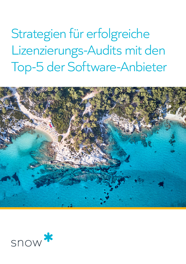 Strategien für erfolgreiche Lizenzierungs-Audits mit den Top-5 der Software-Anbieter