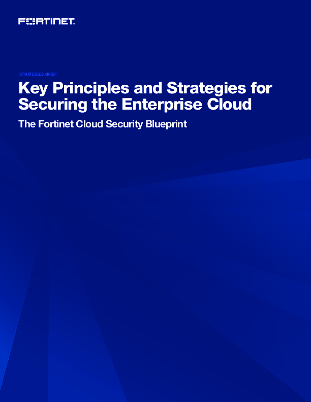 Key Principles and Strategies for Securing the Enterprise Cloud