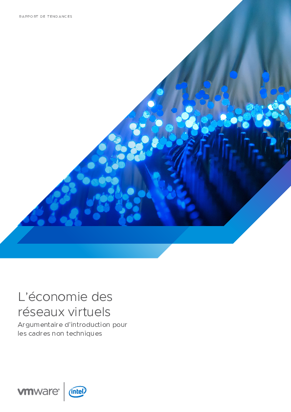 L’économie des réseaux virtuels