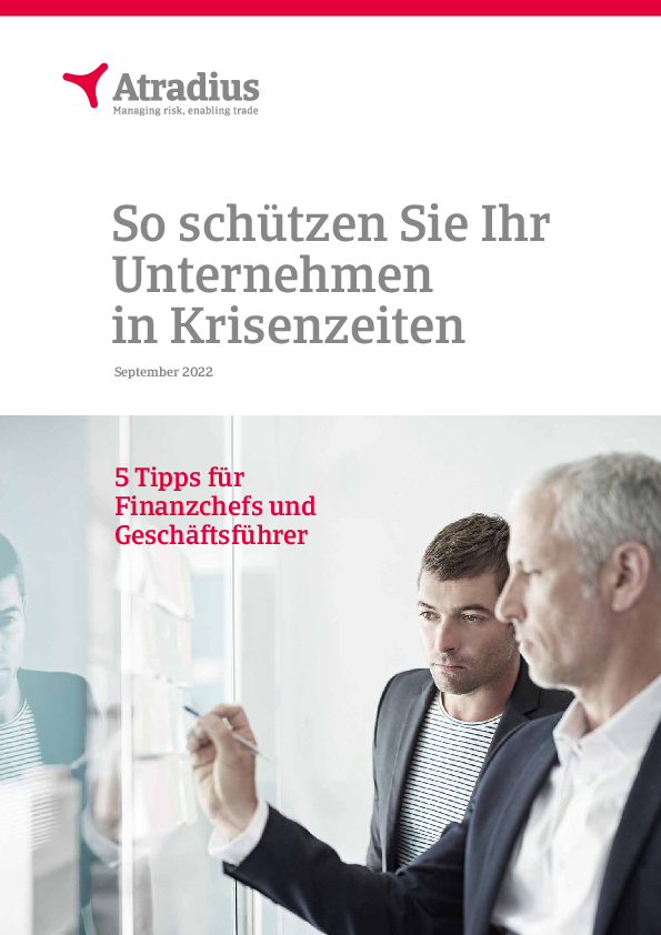 So minimieren Sie finanzielle Risiken in der Krise