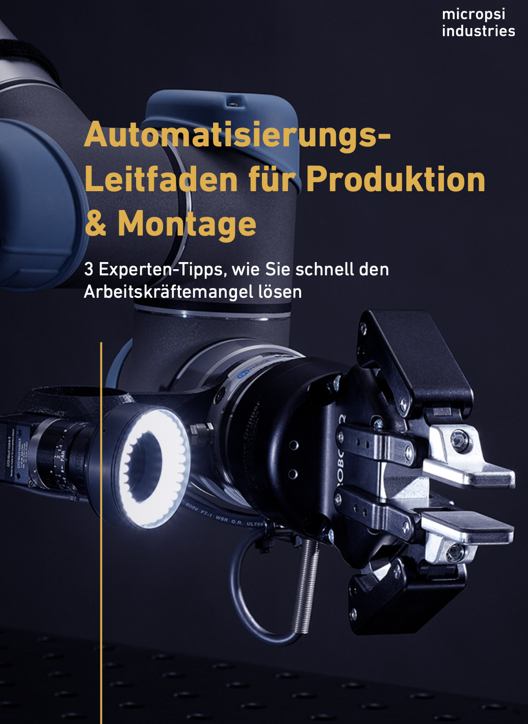  Automatisierungs-Leitfaden für Produktion & Montage