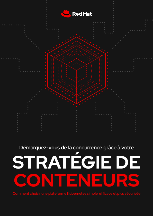 STRATÉGIE DE CONTENEURS