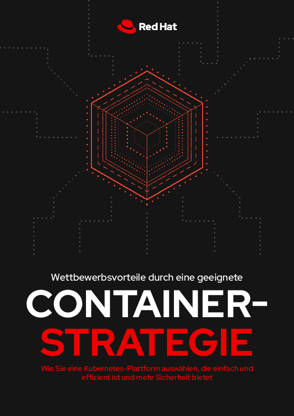 CONTAINER STRATEGIE