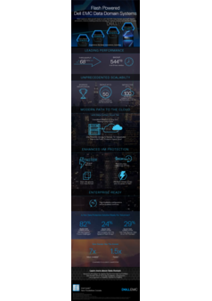 Thumb flash powered dell emc data domain systems