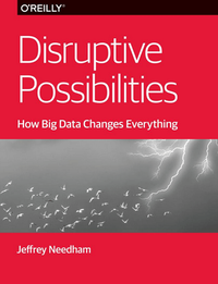 Disruptive Possibilities: How Big Data Changes Everything