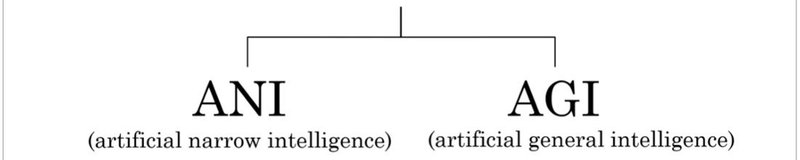 ai-for-everyone-ani-vs-agi.jpg