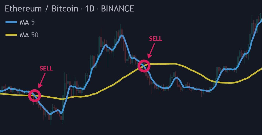 THE CRYPTODEX - Period 1d