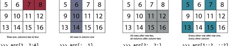 numpy-indexing-arrays.jpg