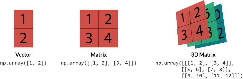 numpy vector assignment