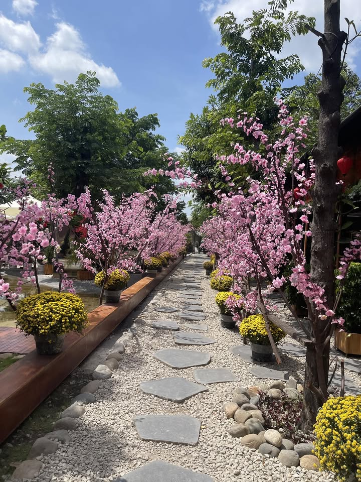 Xuân Thanh Nguyễn