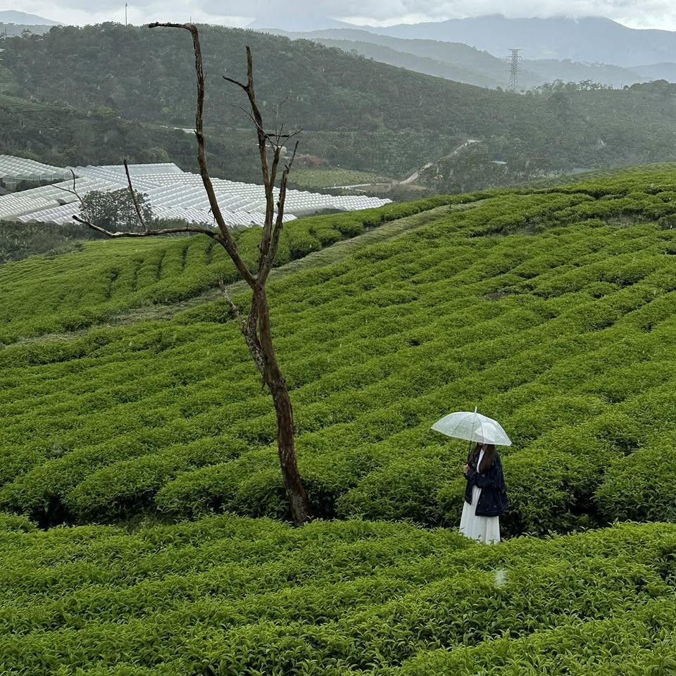 Lý Phương Huyền