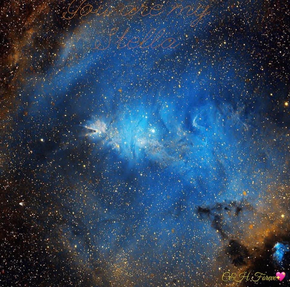 Nguyễn Viết Chuyên