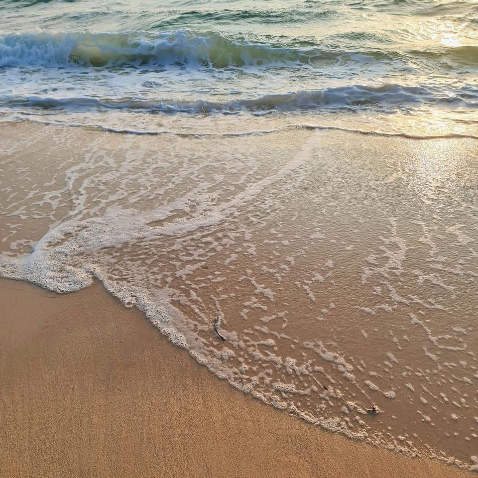 Nguyễn Đức Thạch Diễm