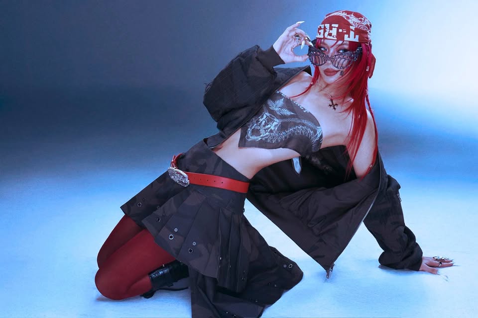 Đồng Ánh Quỳnh