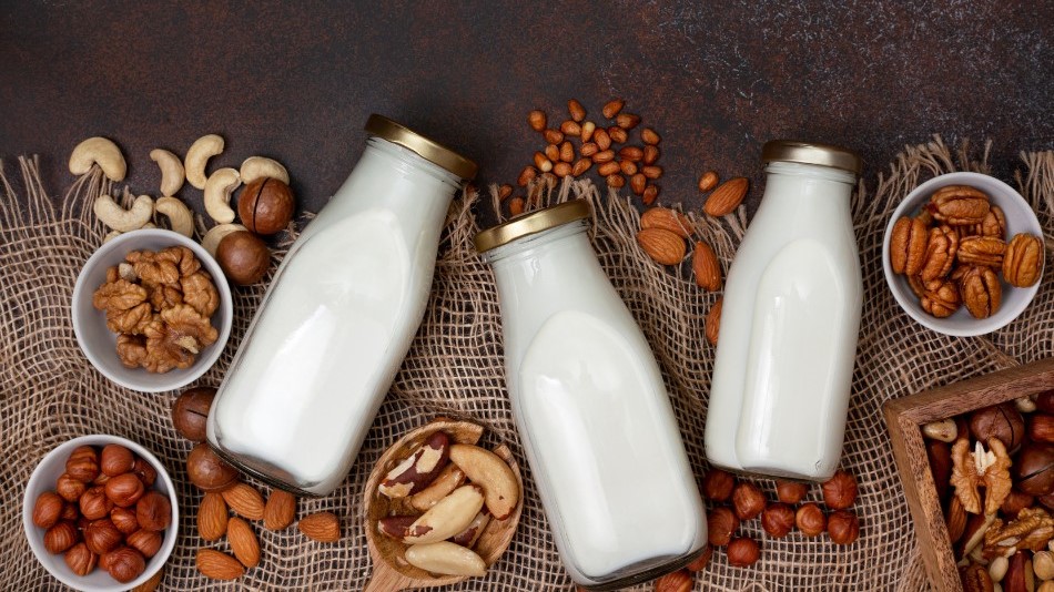 REVIEW, THANH LÝ MÁY LÀM SỮA HẠT VÀ CÔNG THỨC NẤU SỮA HẠT