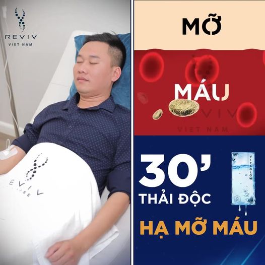 Reviv Việt Nam