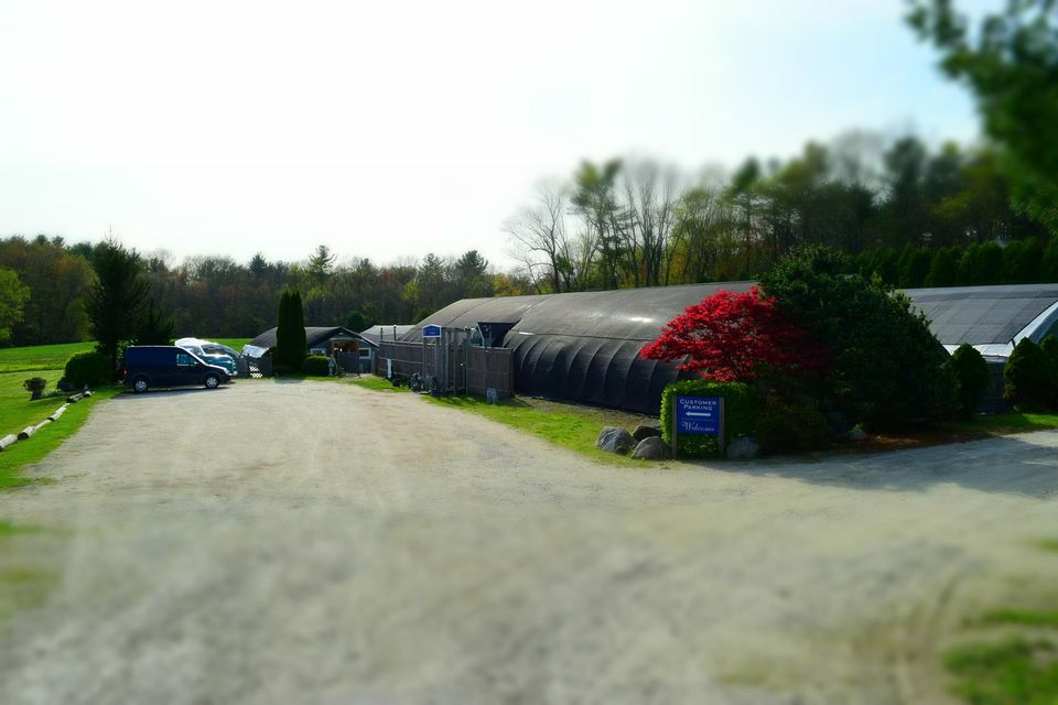 New England Bonsai Gardens - NEBG
