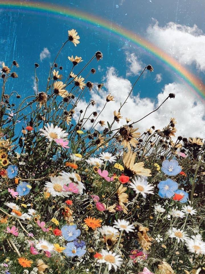 ???? REVIEW, THANH LÝ LOCAL BRAND DEARJOSÉ, JUBIN, EL.REVER, ELPIS... ????