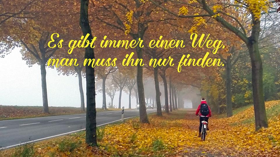 Einfach Deutsch - Học tiếng Đức