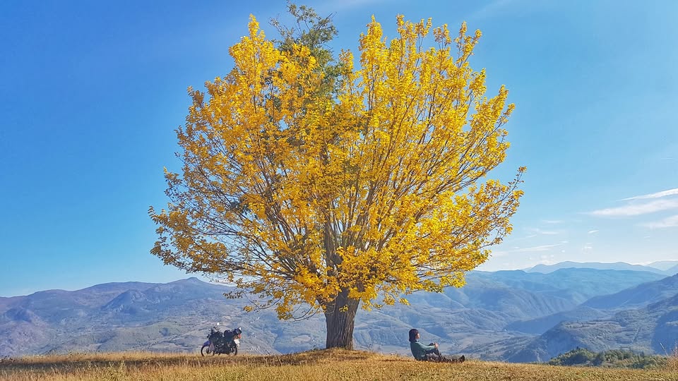 Trần Đặng Đăng Khoa