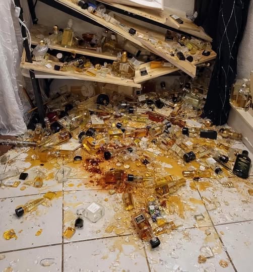 Xây Dựng CasHomes