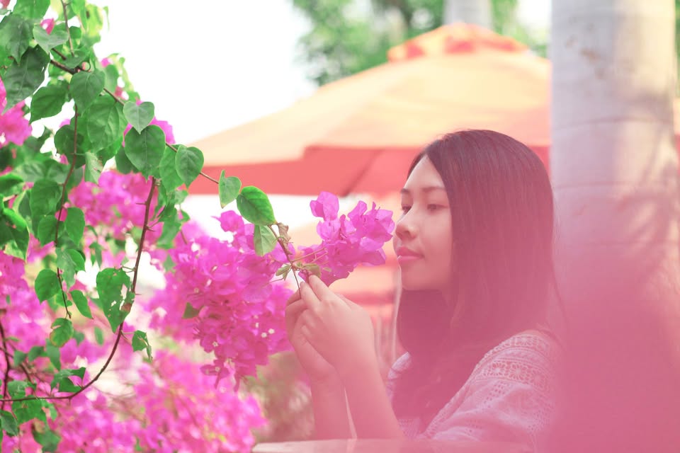 Trần Thị Phương Anh