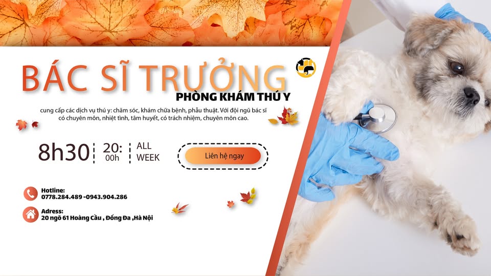 T Vet Center - Phòng khám thú y bác sỹ Trưởng