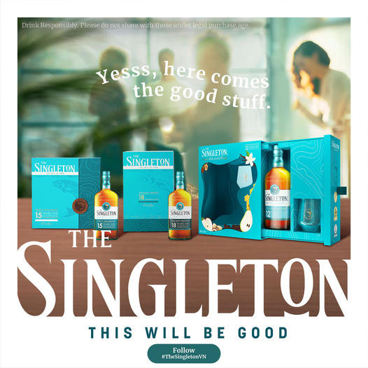 The Singleton VN