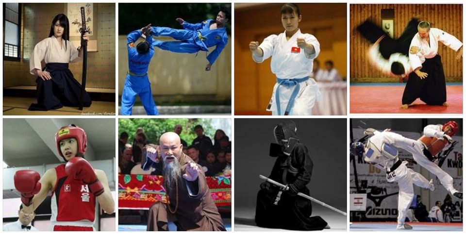 Hội những người yêu thích võ thuật