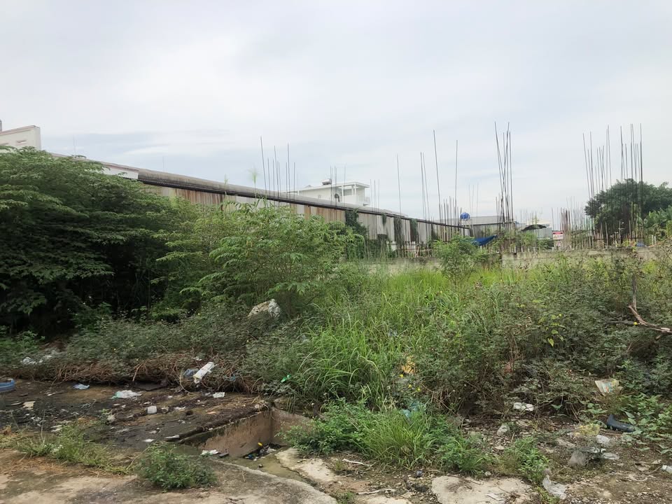 Hội Cư Dân Chính Thức West Intela Q.8