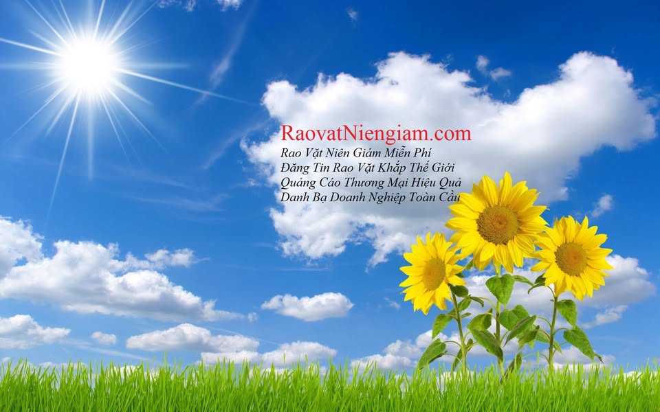 NAIL Rao Vặt - Cần Thợ Nails, Sang Tiệm Nails