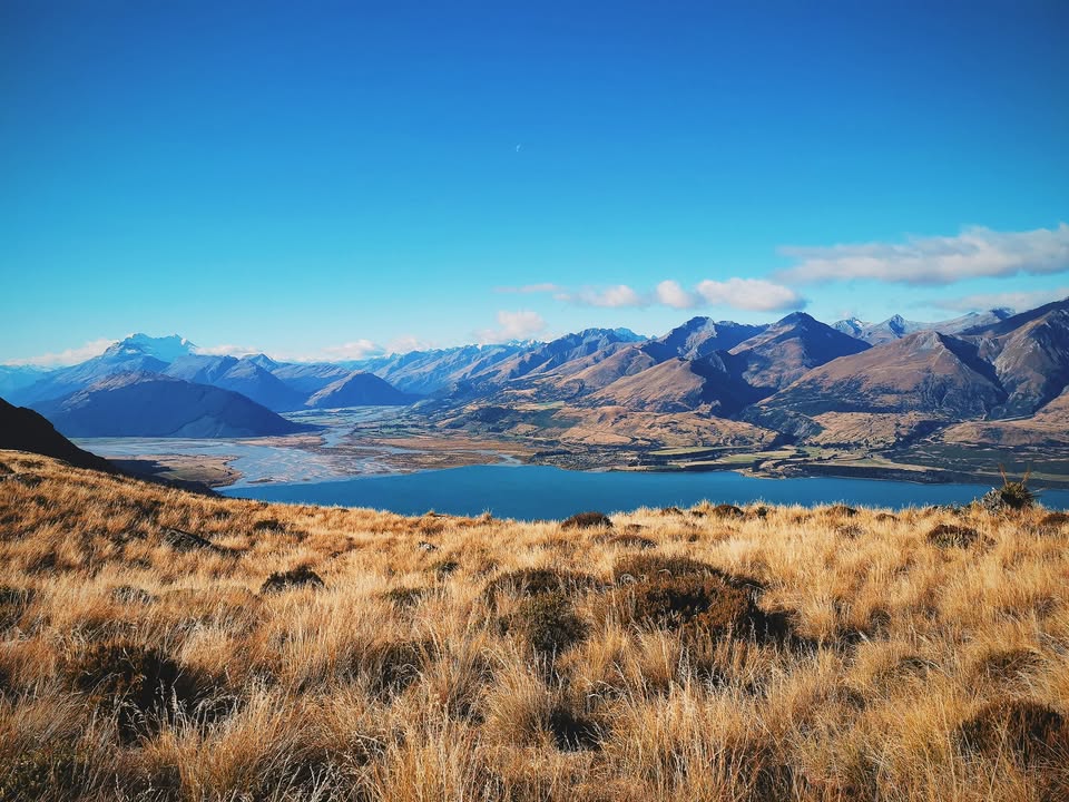 Nguyễn Quang Đạt