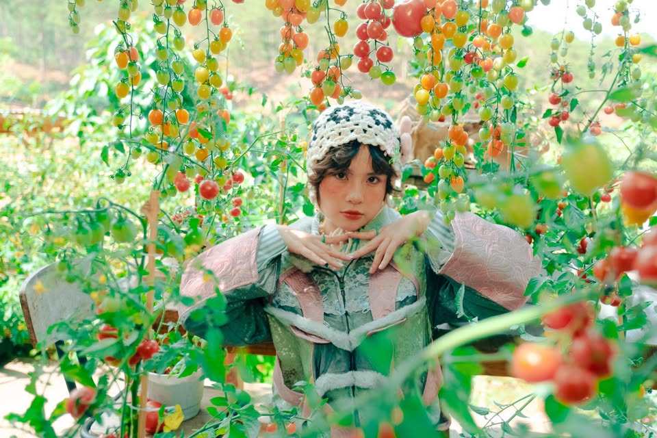 Thái Trinh Nguyễn