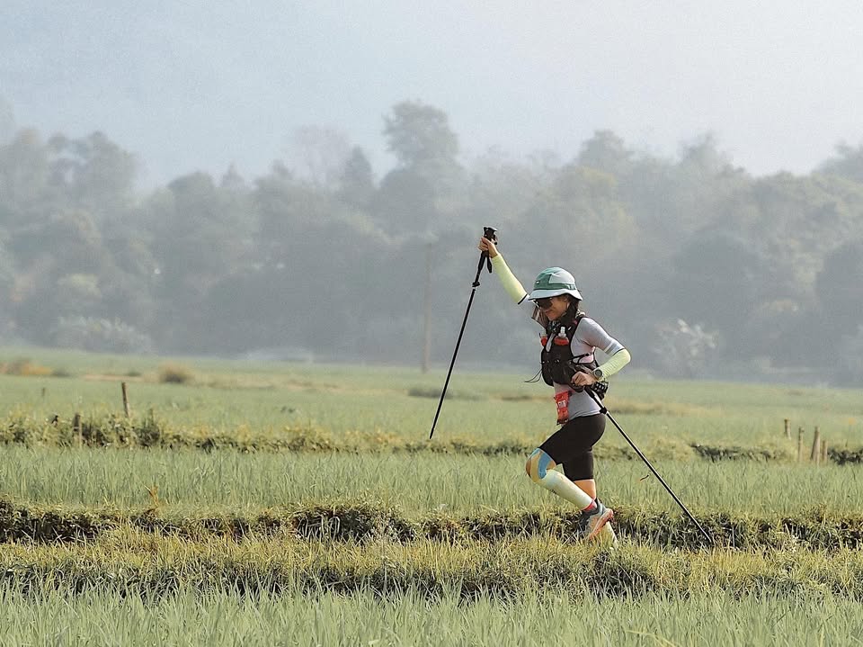 Phương Anh Thị Nguyễn