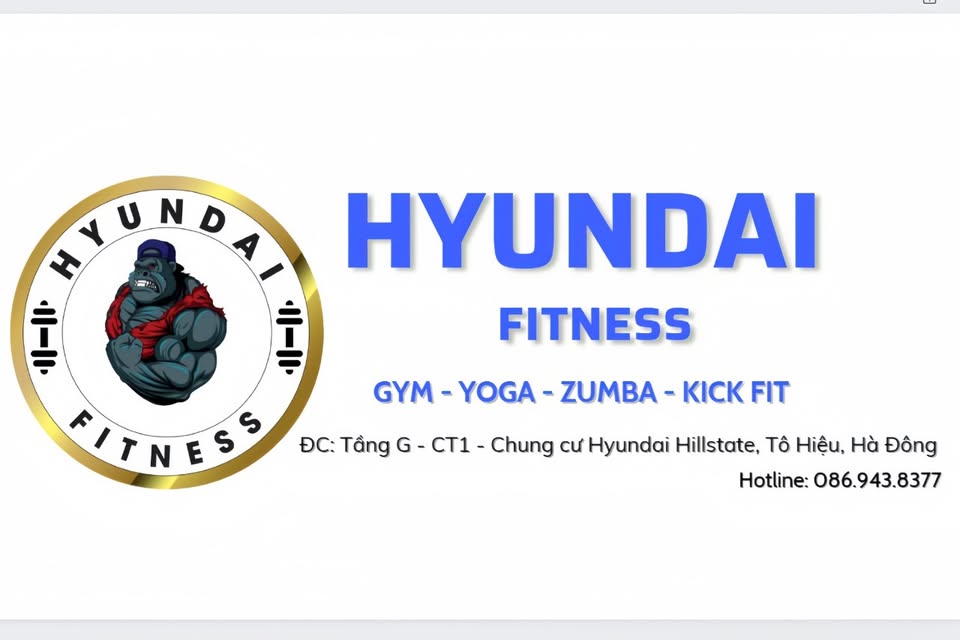 Hyundai Fitness