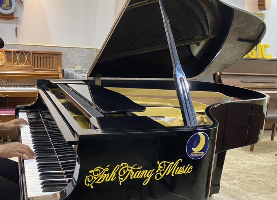 Trung Tâm Âm Nhạc Ánh Trăng Music