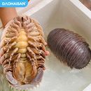 ĐẢO HẢI SẢN