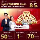 Căn hộ The Beverly - Vinhomes Quận 9