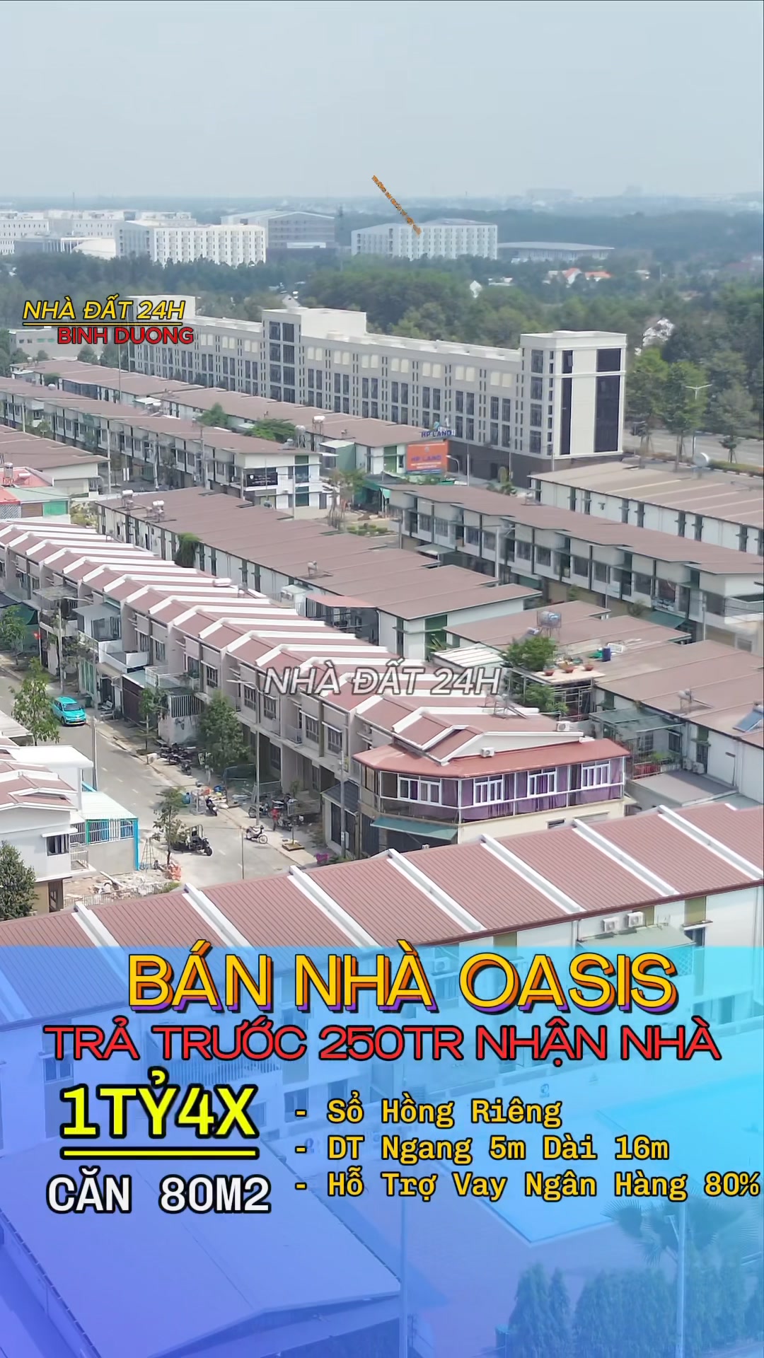 Lê Hoàng - Nhà Đất 24h Bình Dương