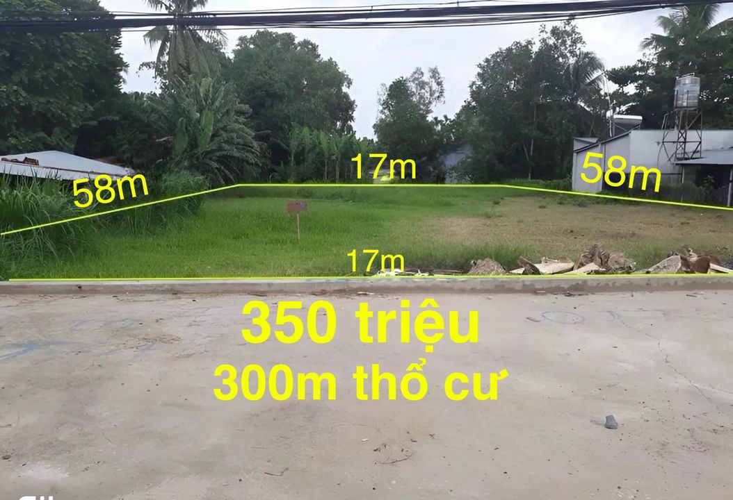 Nhà Đất Miền Nam