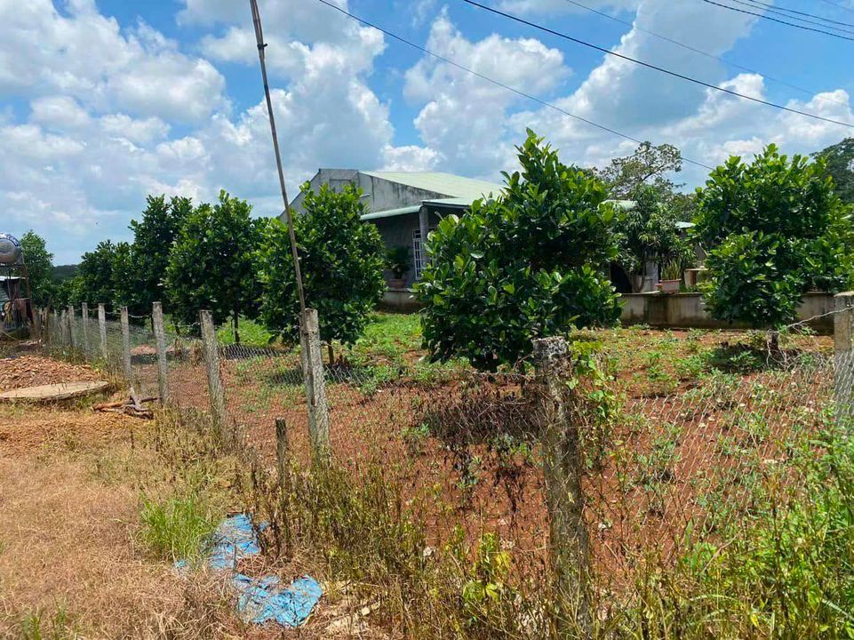 Nguyễn Ngọc Bảo Uyên