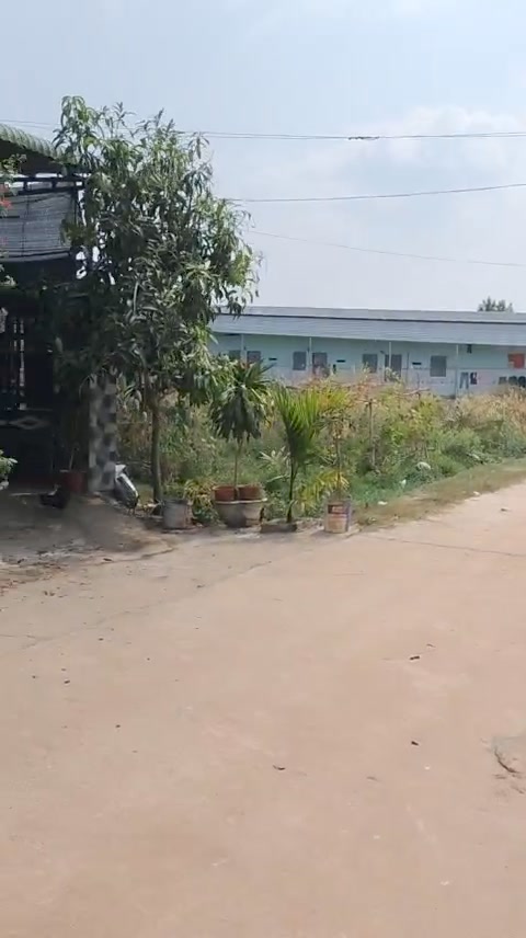 Đất Bình Phước Sổ Hồng Riêng