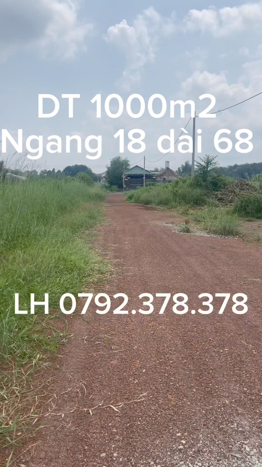 Trọng tính