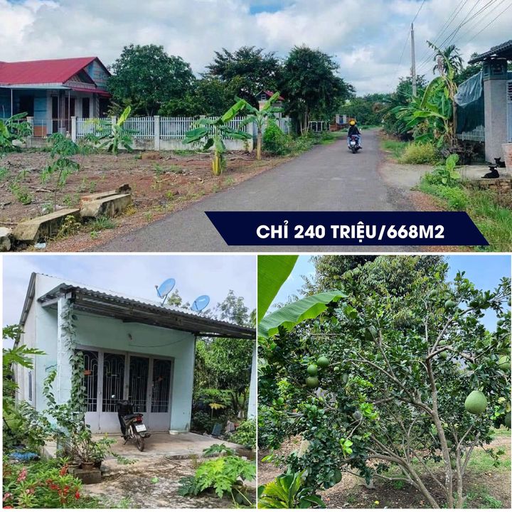 Đất Vườn Sổ Sẵn