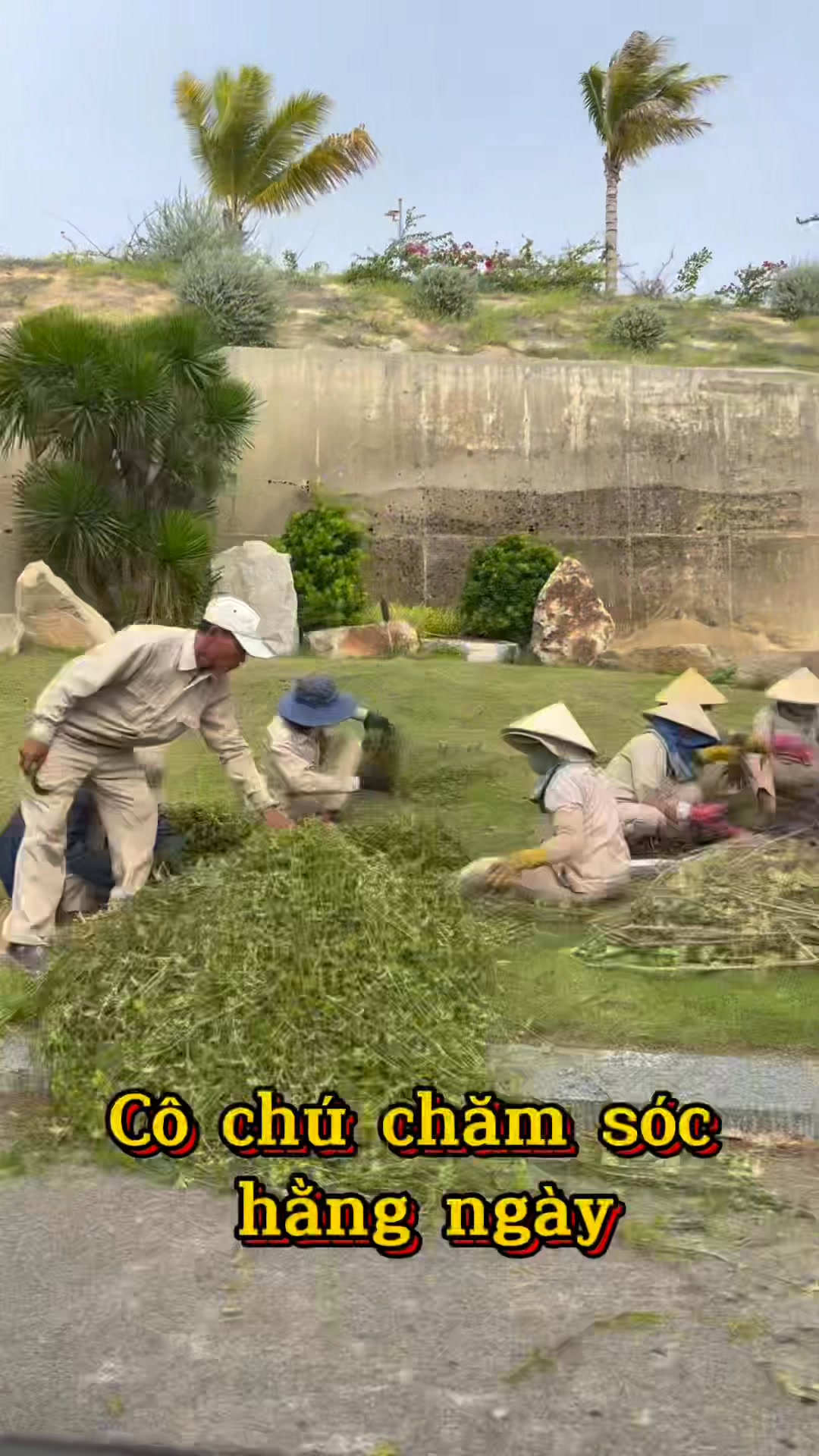 Thanh Trúc - Quỹ Căn Đẹp Caraworld Cam Ranh